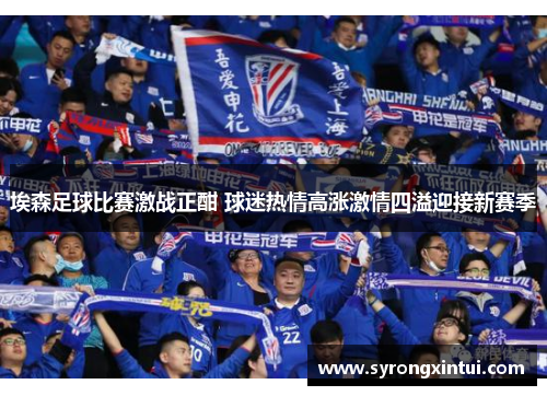 埃森足球比赛激战正酣 球迷热情高涨激情四溢迎接新赛季